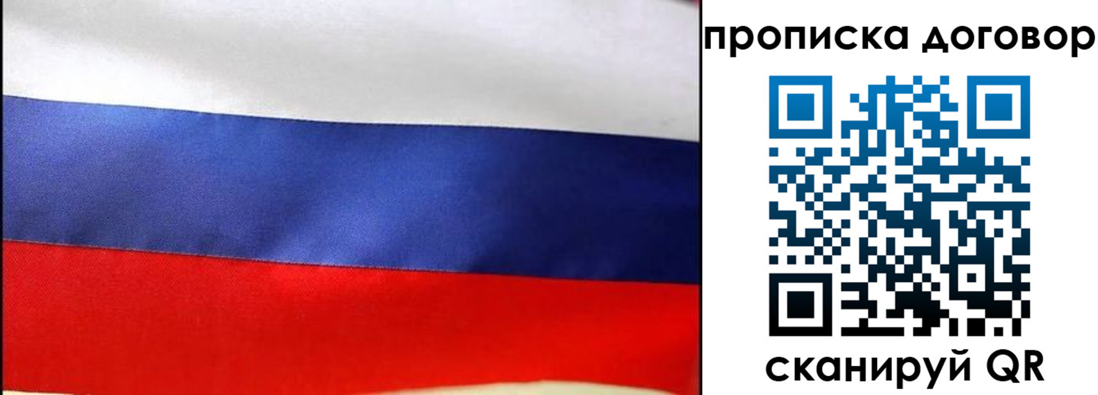 прописка гарантия в Боровске